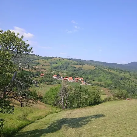 Domacinstvo Prentovic *