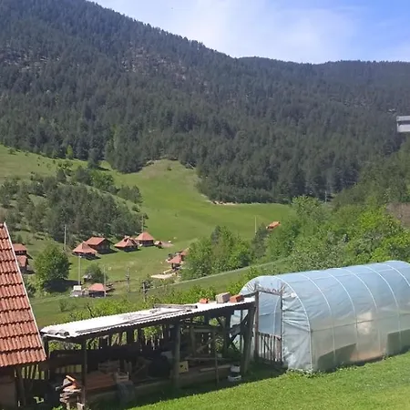 Domacinstvo Prentovic Venkovský dům Cajetina (Zlatibor)