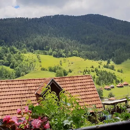 Domacinstvo Prentovic Country house Cajetina (Zlatibor)