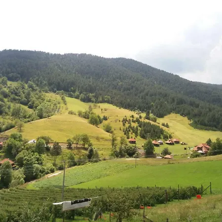 Domacinstvo Prentovic Venkovský dům Cajetina (Zlatibor)